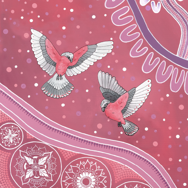 Galah Story