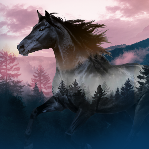Twilight