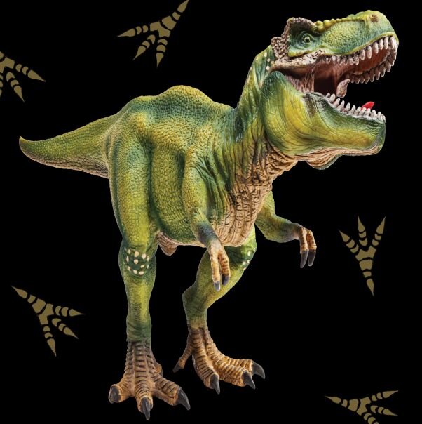 Dinosaur Discovery