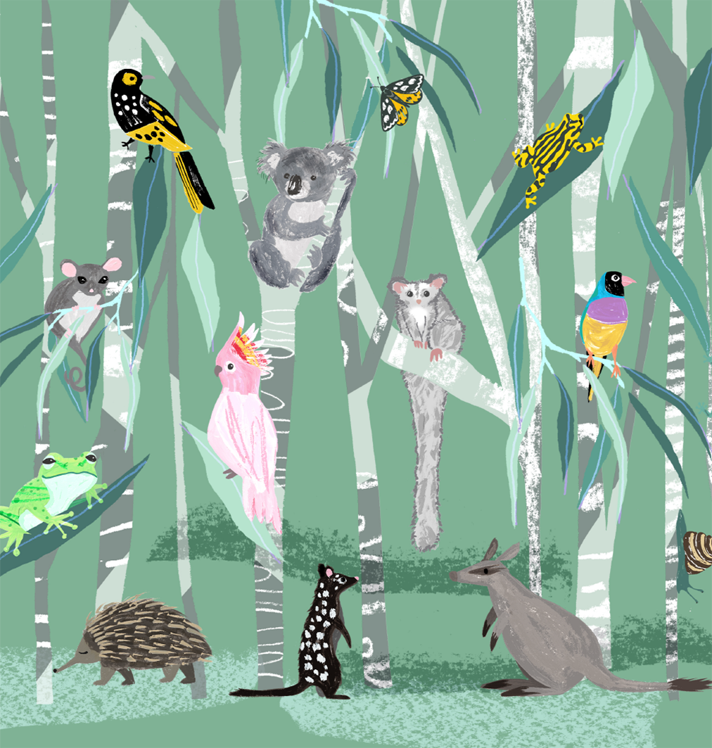 Habitat - Threatened Aussies