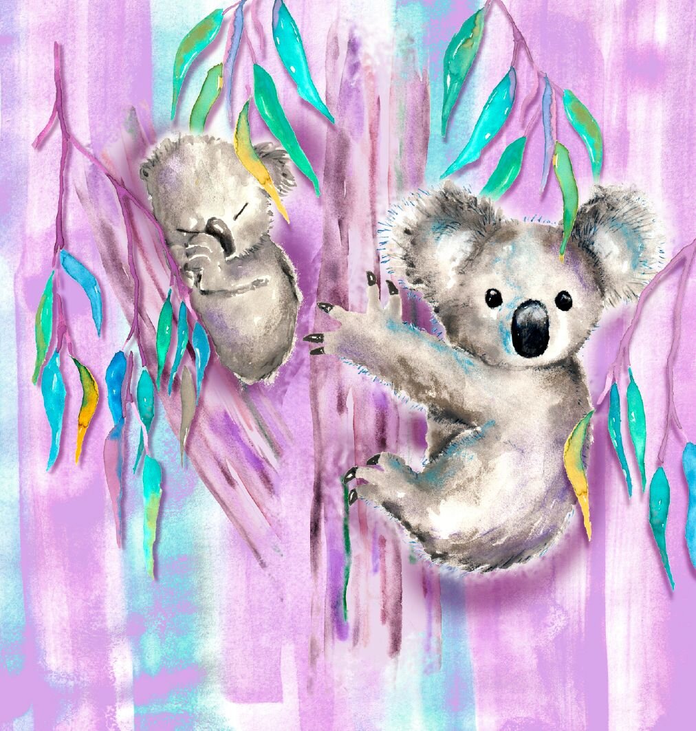 Koala Haven