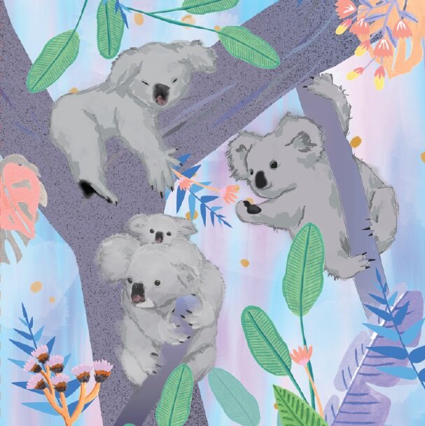 Koala Daydream