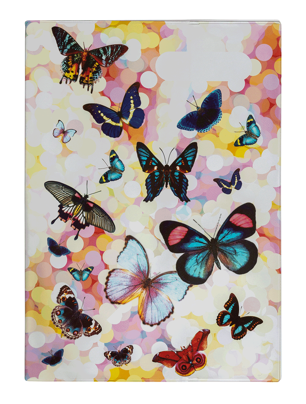 A4 Book Cover - Butterflies