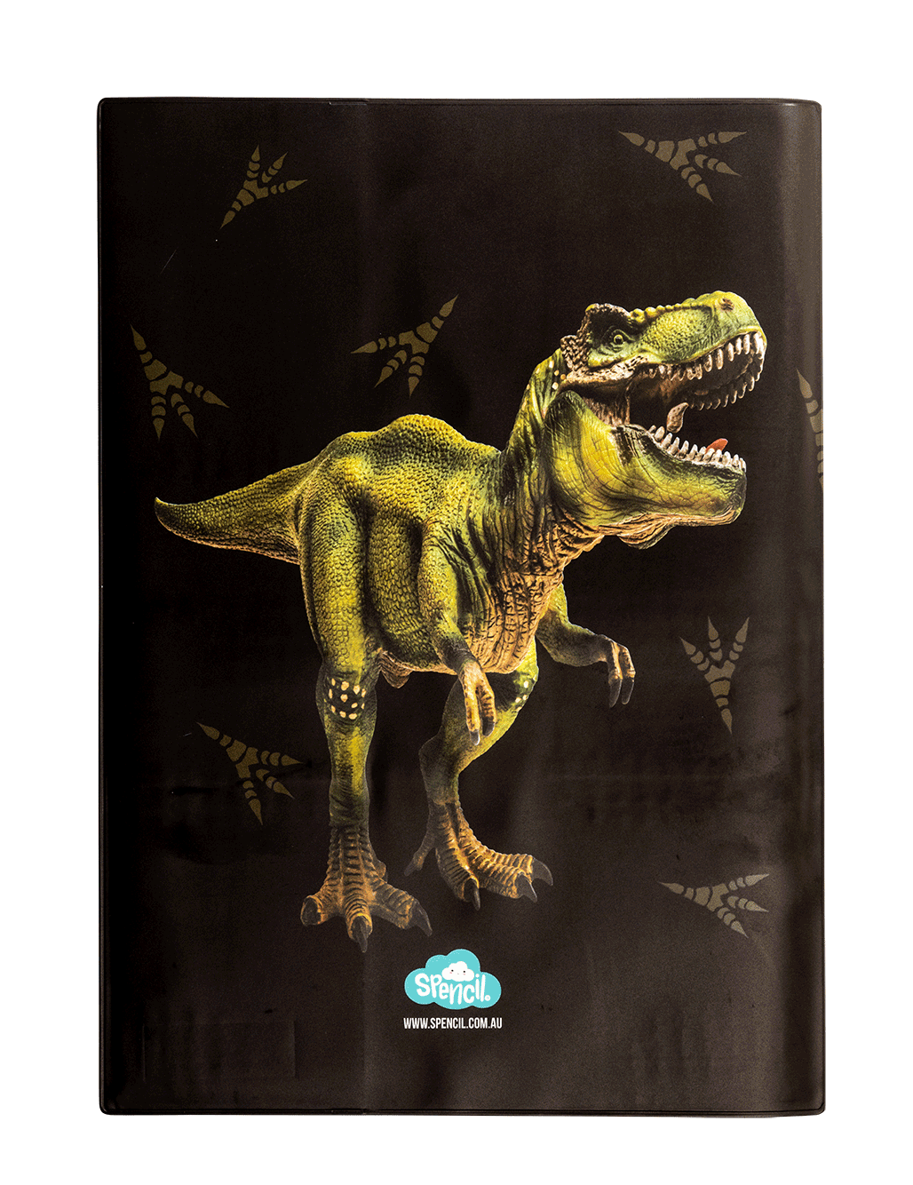 A4 Book Cover - Dinosaur Discovery 2
