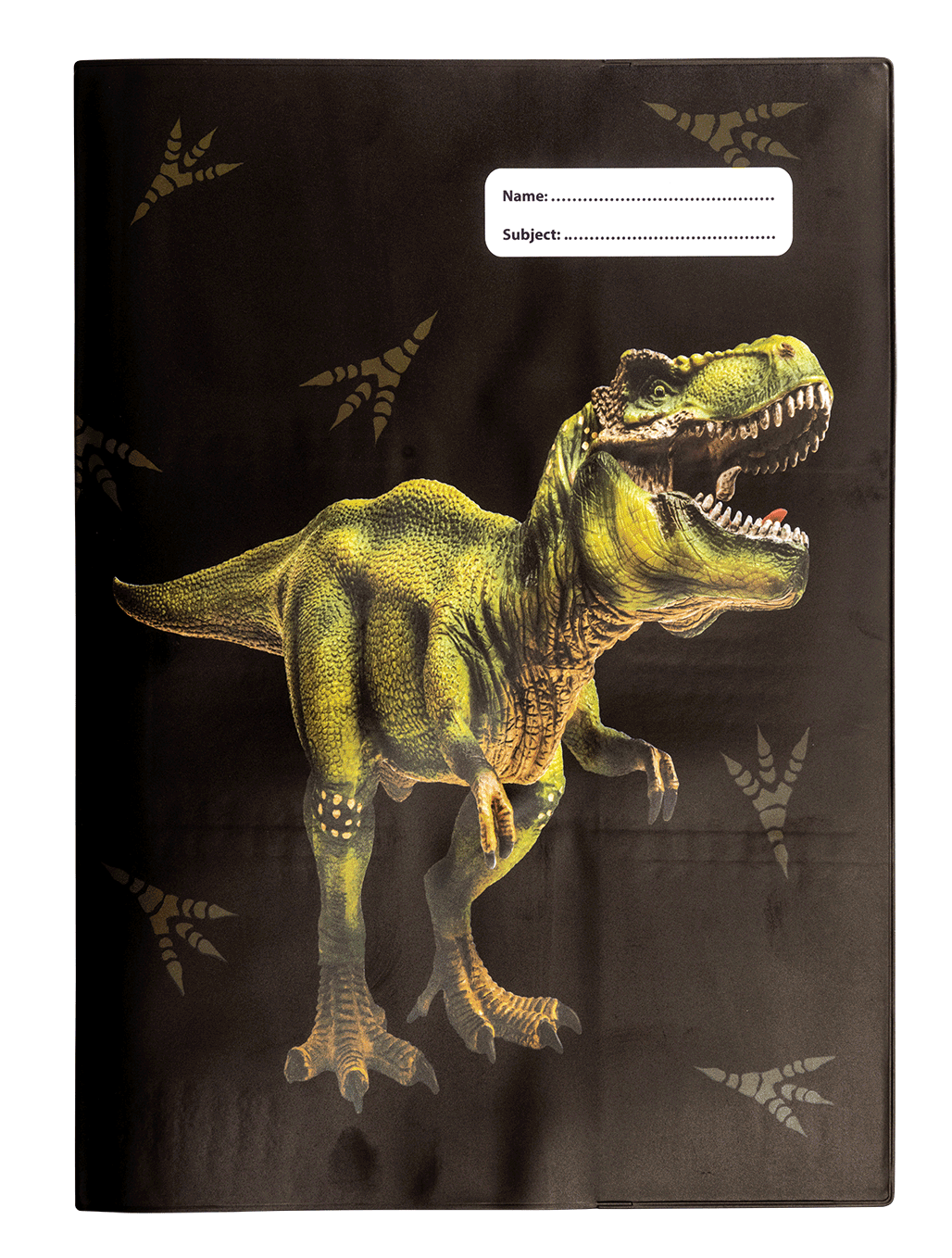 A4 Book Cover - Dinosaur Discovery 2