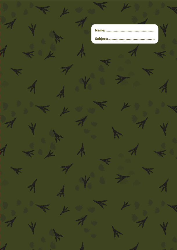 A4 Book Cover - Dinosaur Discovery 5
