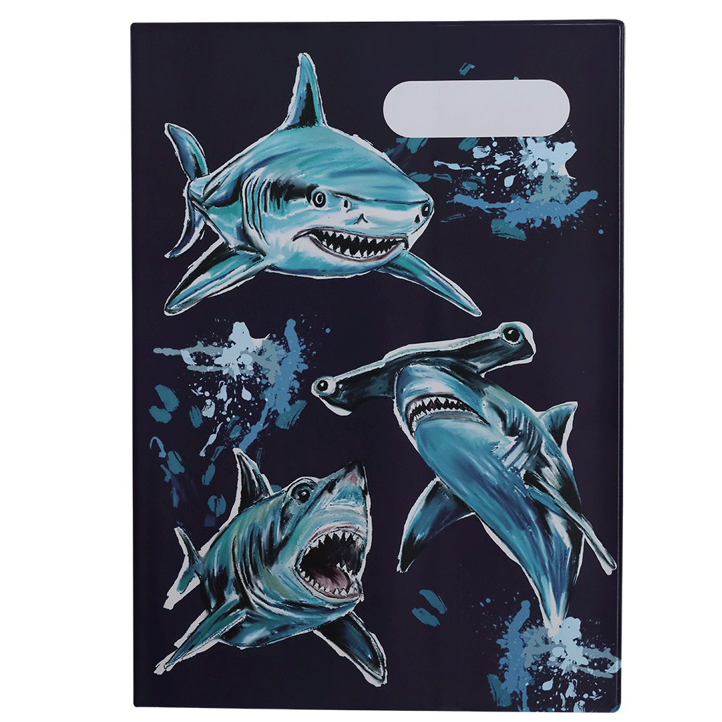 A4 Book Cover - Fin Frenzy 2