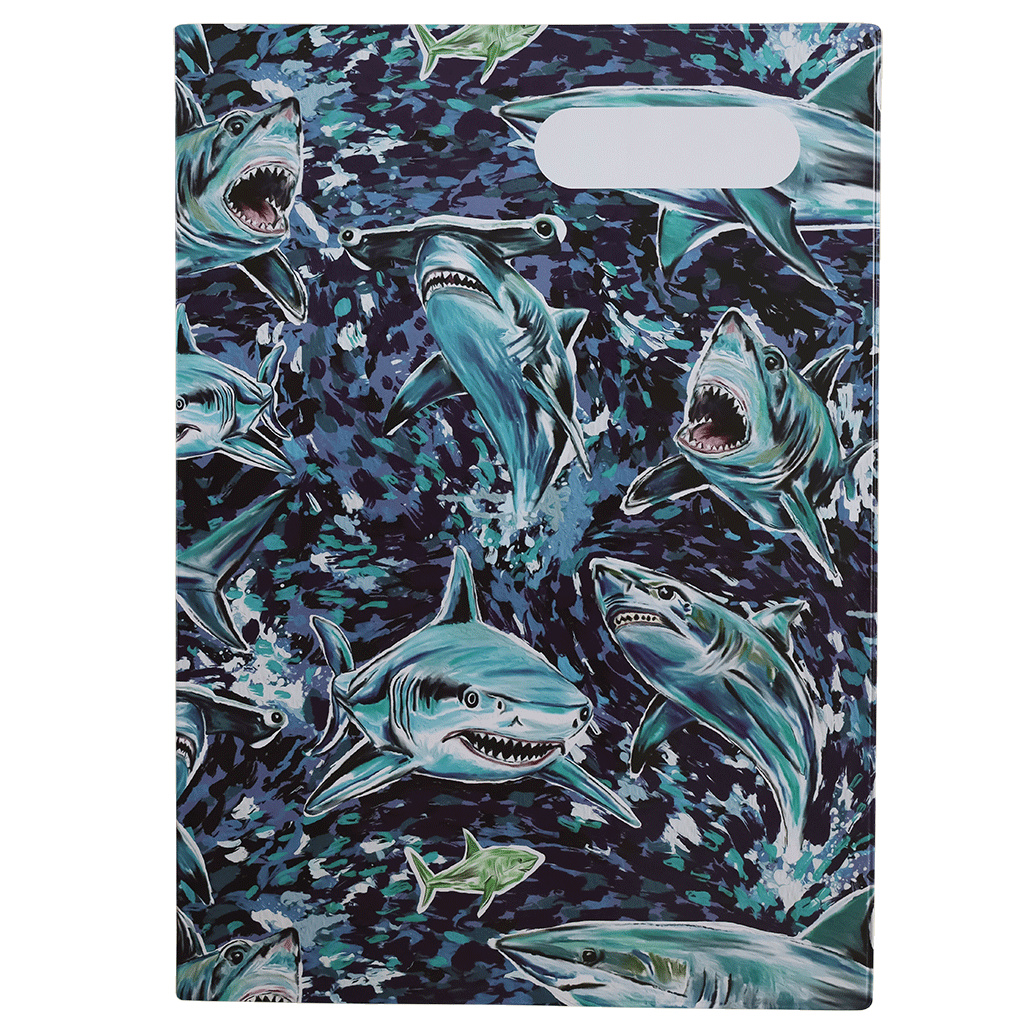 A4 Book Cover - Fin Frenzy