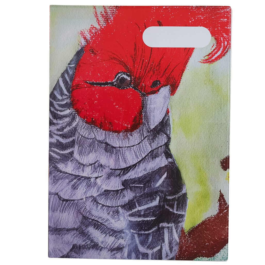 A4 Book Cover - Gang Gang Cockatoo