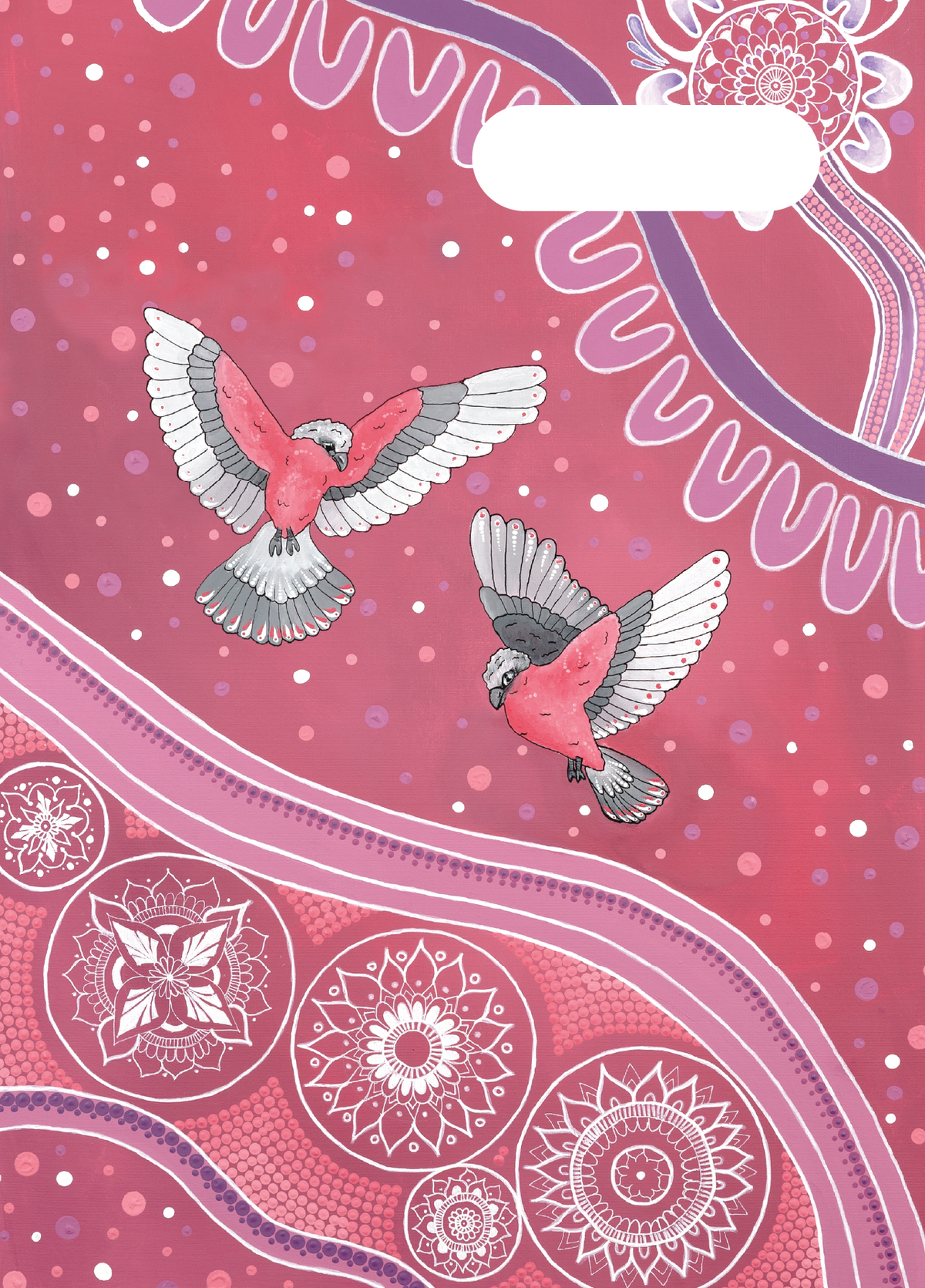 A4 Book Cover - Galah Story