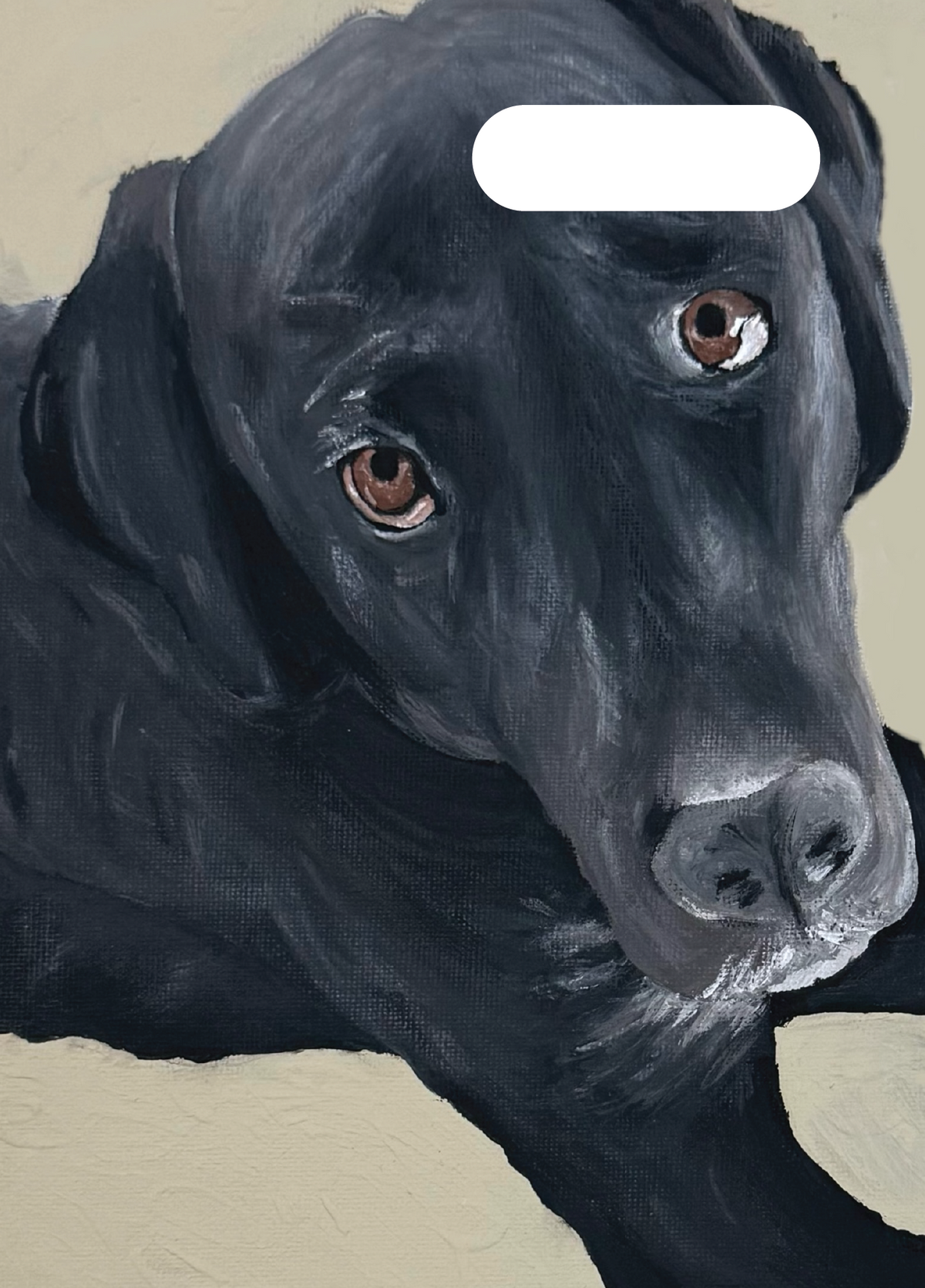 A4 Book Cover - Russel Relaxing