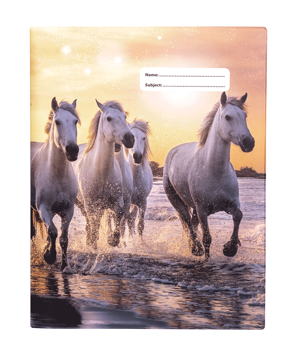 9x7 Exercise Book Cover - Cosmic Canter 1