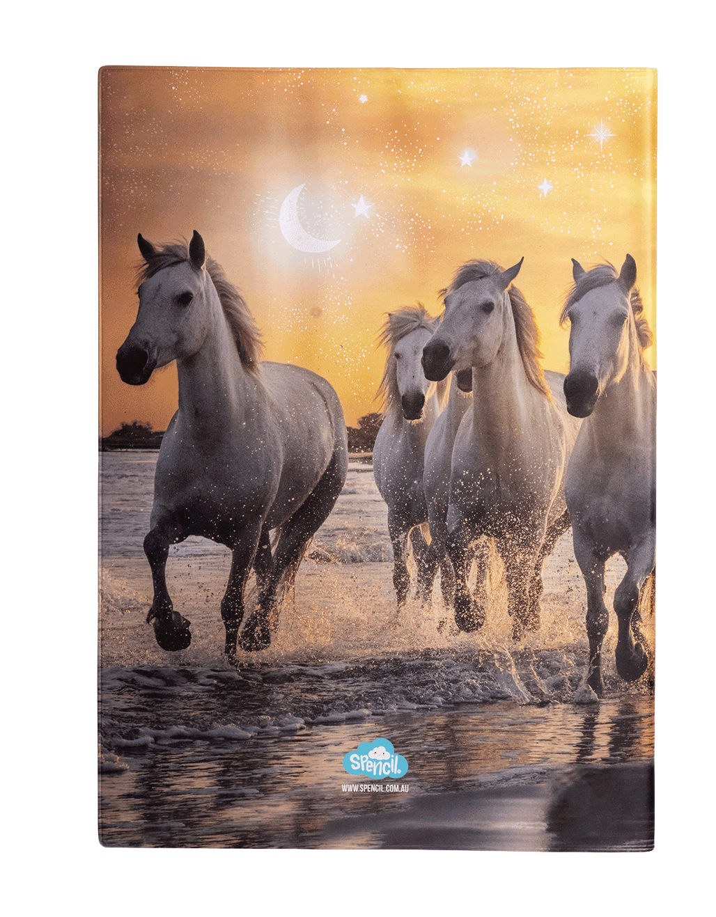 A4 Book Cover - Cosmic Canter 1