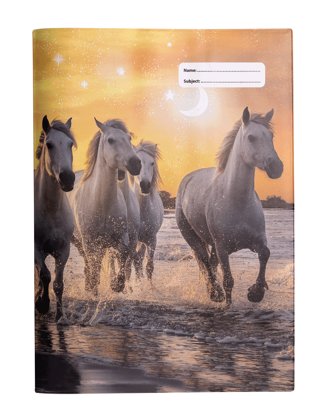 A4 Book Cover - Cosmic Canter 1
