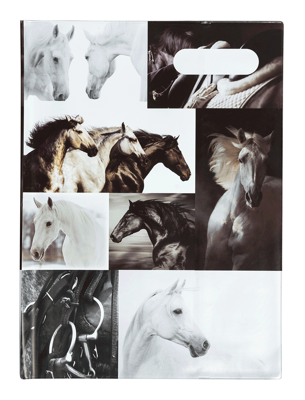Scrapbook Cover - Black & White Horses IV