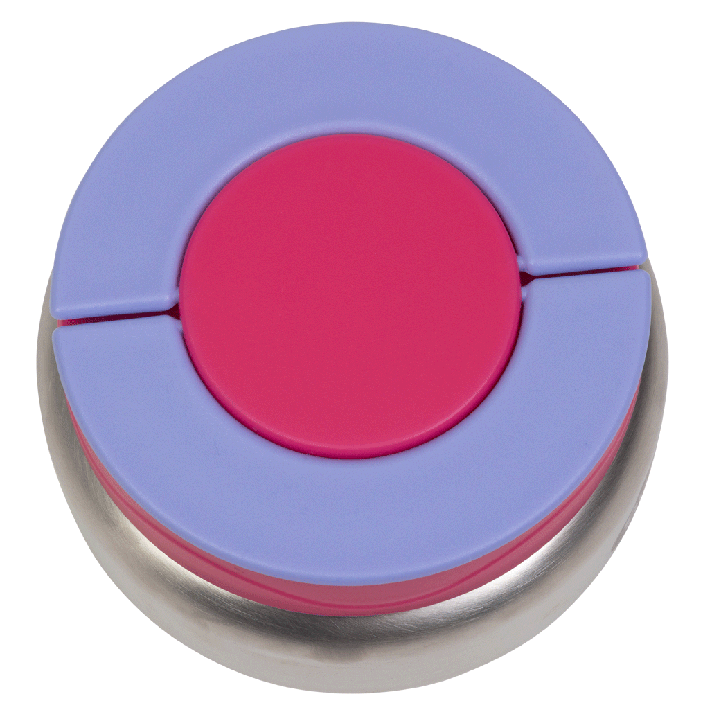Hot Stuff Insulated Food Jar 300ml - Fuchsia