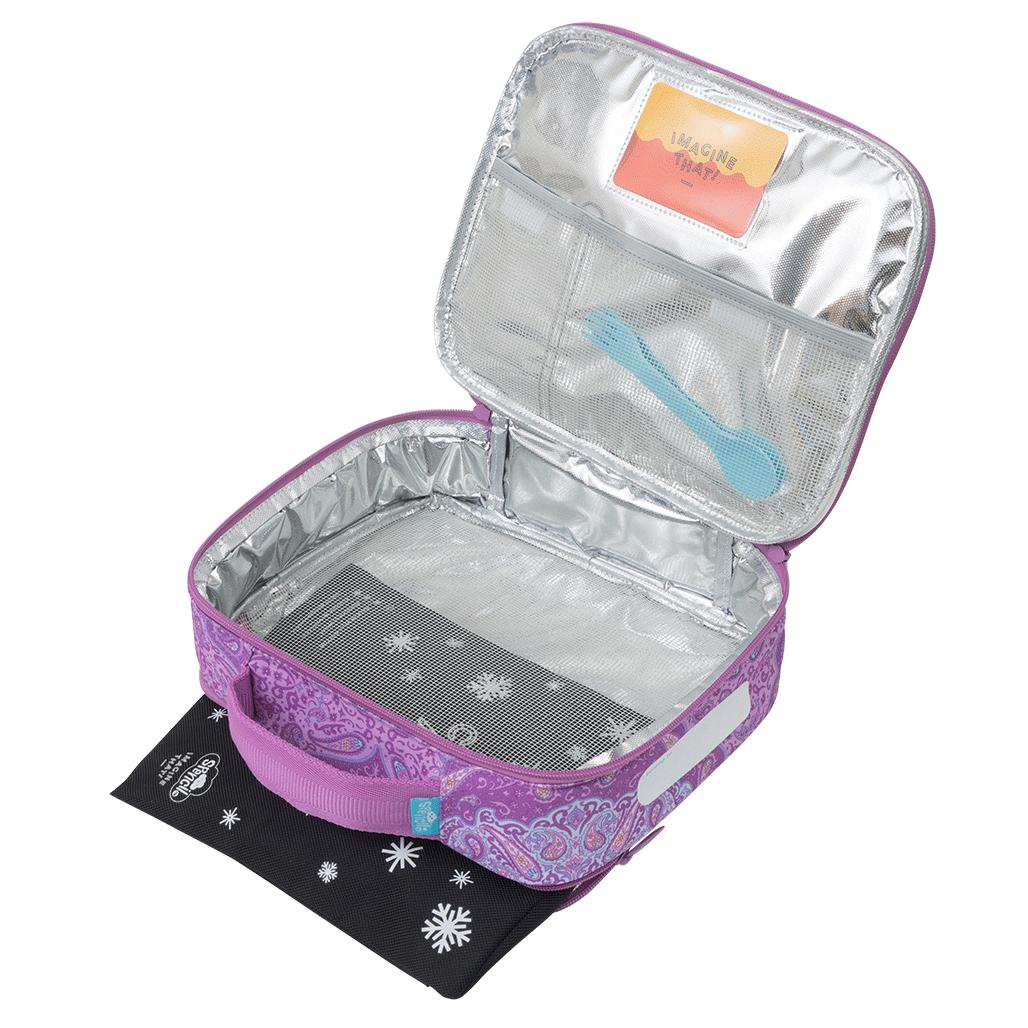 Big Cooler Lunch Bag + Chill Pack - Paisley Daze