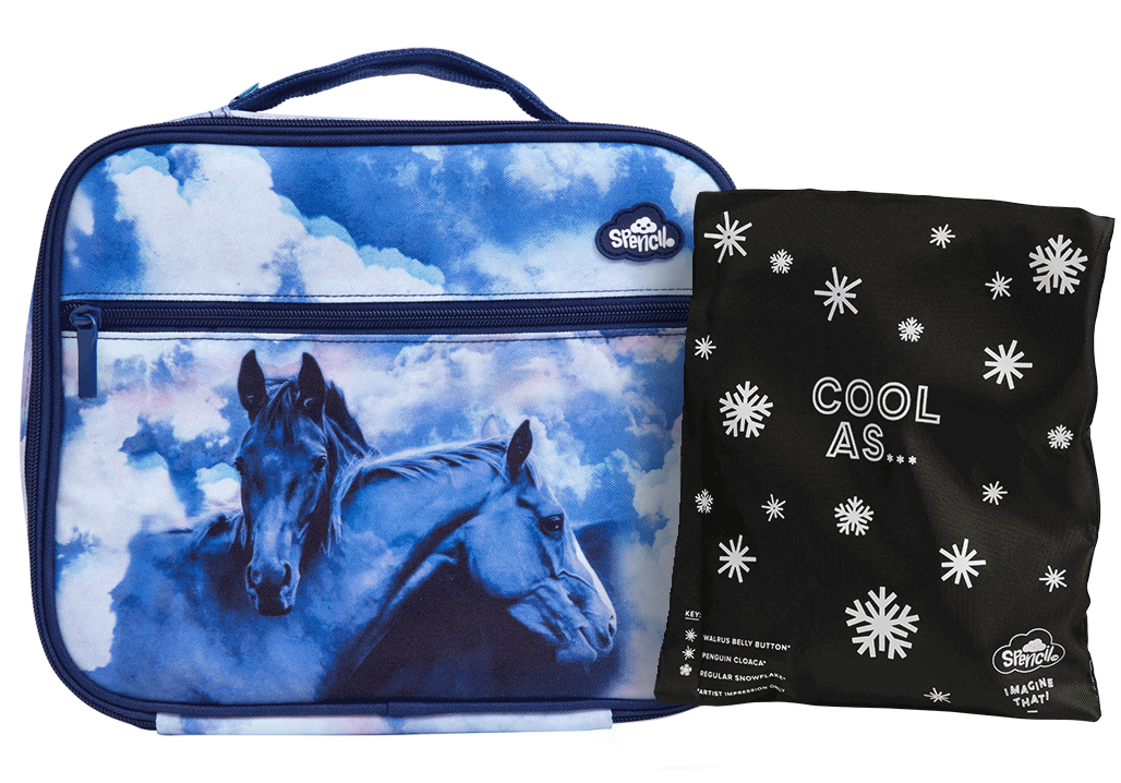 Big Cooler Lunch Bag + Chill Pack - Sky Dancer
