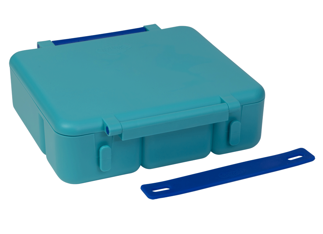 All-in Lunch Box Silicone Handle - Azure