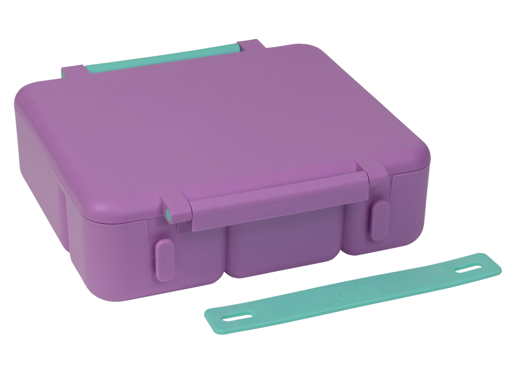All-in Lunch Box Silicone Handle - Mint