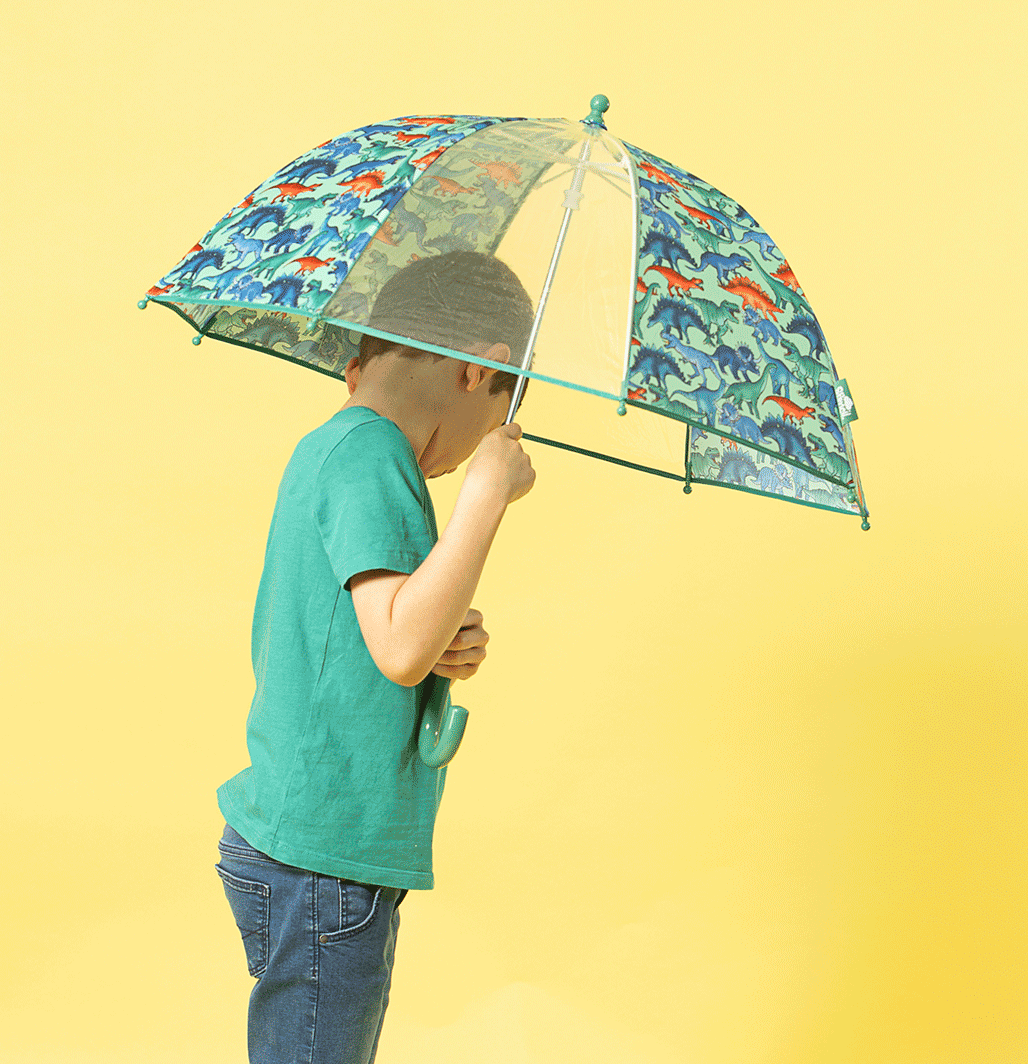 Dome Umbrella - Dino Stomp