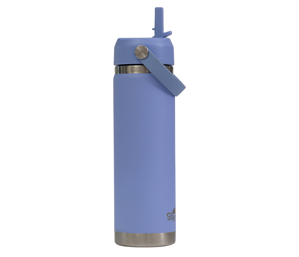 Big Insulated Water Bottle 650ml - Periwinkle