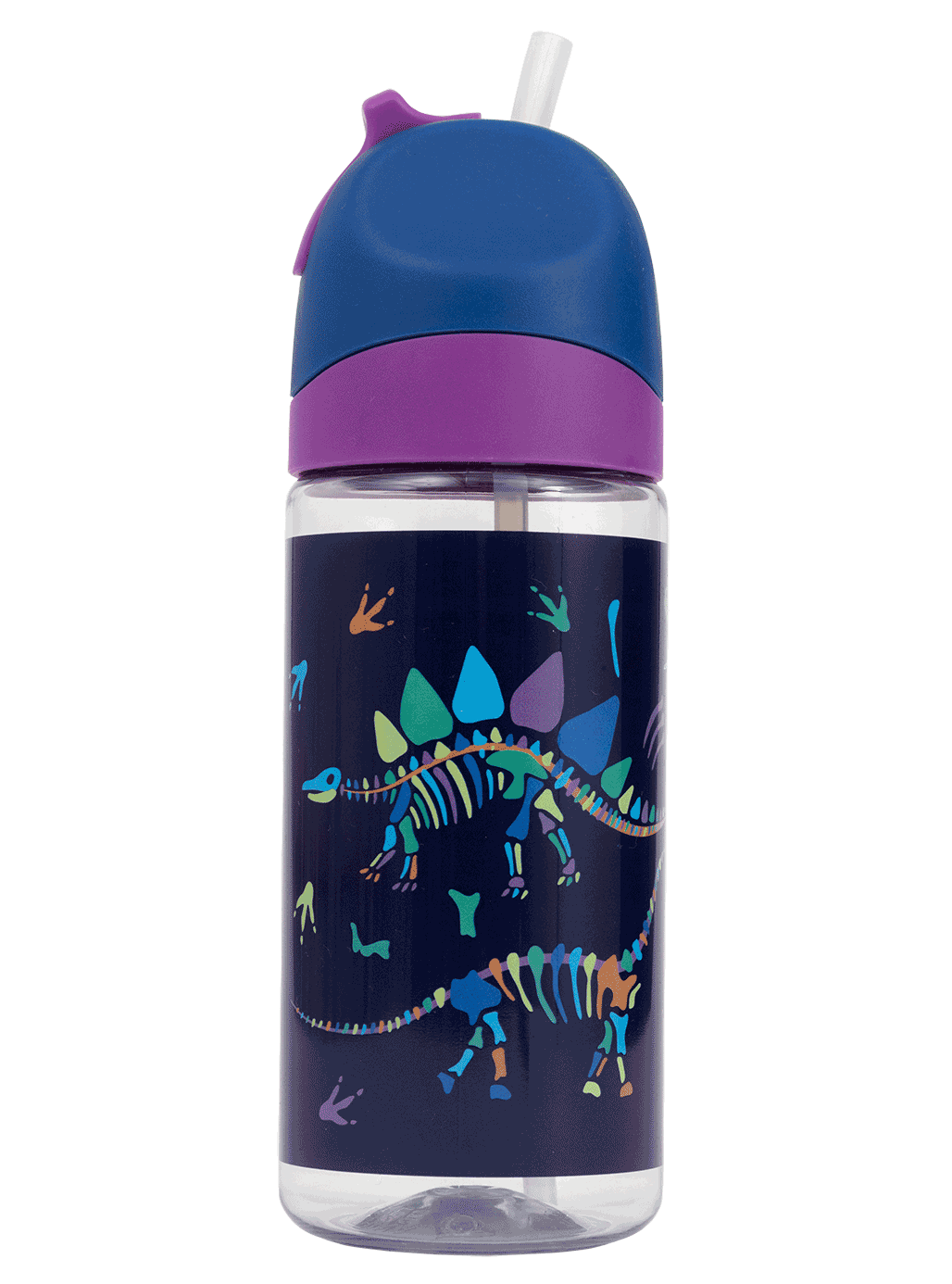 Little Water Bottle - 420ml - Dino Bones