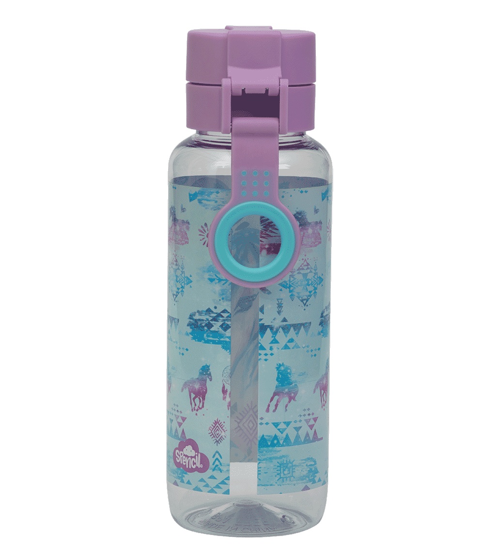 Big Water Bottle - 650ml - Aztec Horse