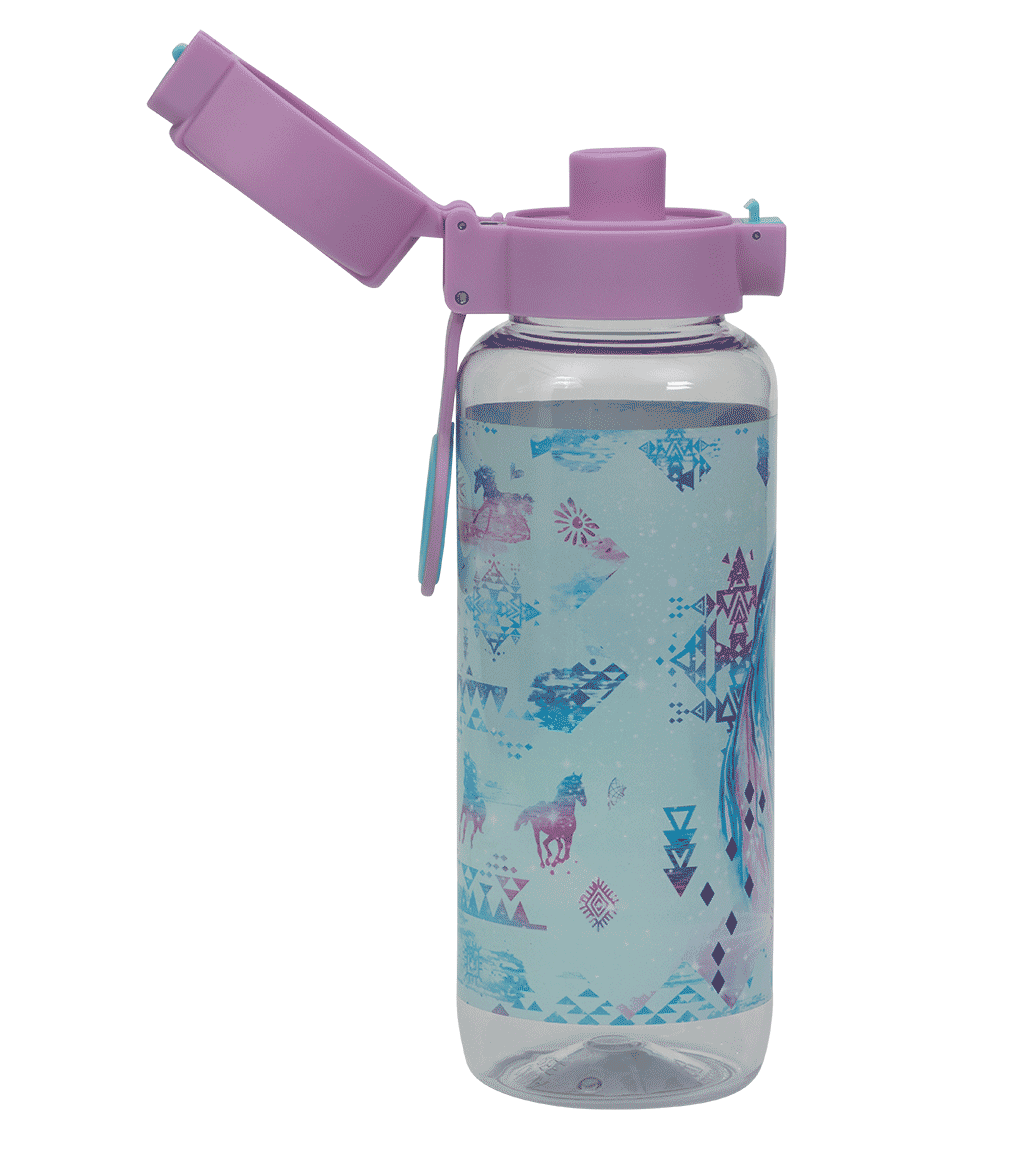 Big Water Bottle - 650ml - Aztec Horse
