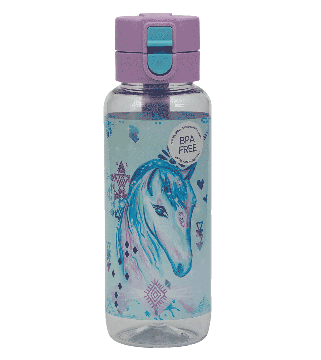 Big Water Bottle - 650ml - Aztec Horse