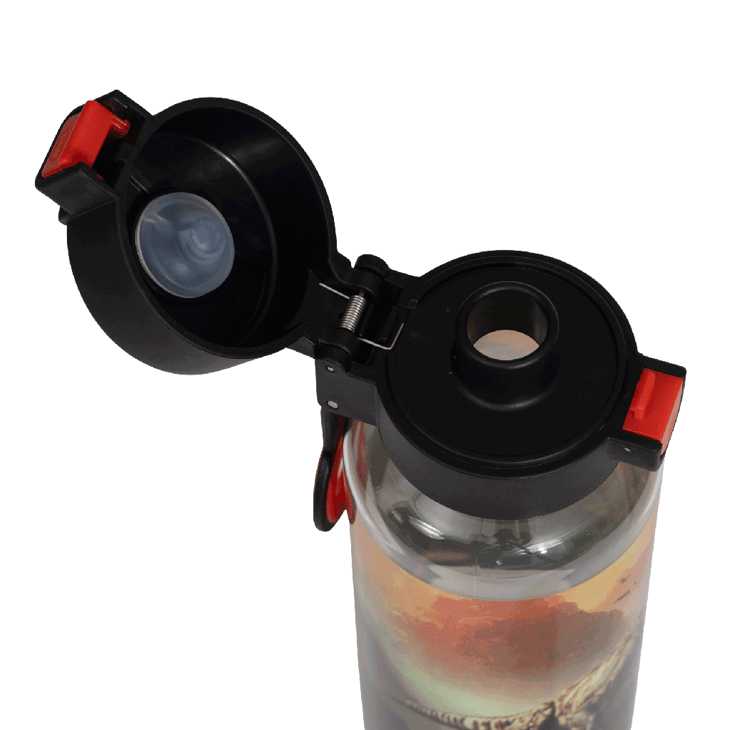 Big Water Bottle - 650ml - Jurassic Kingdom