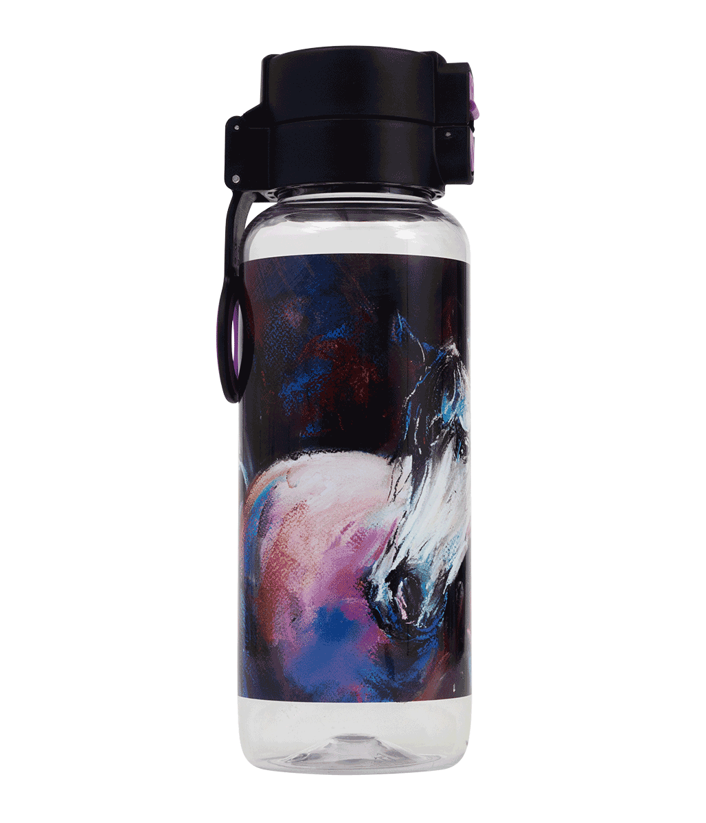 Big Water Bottle - 650ml - Mystic