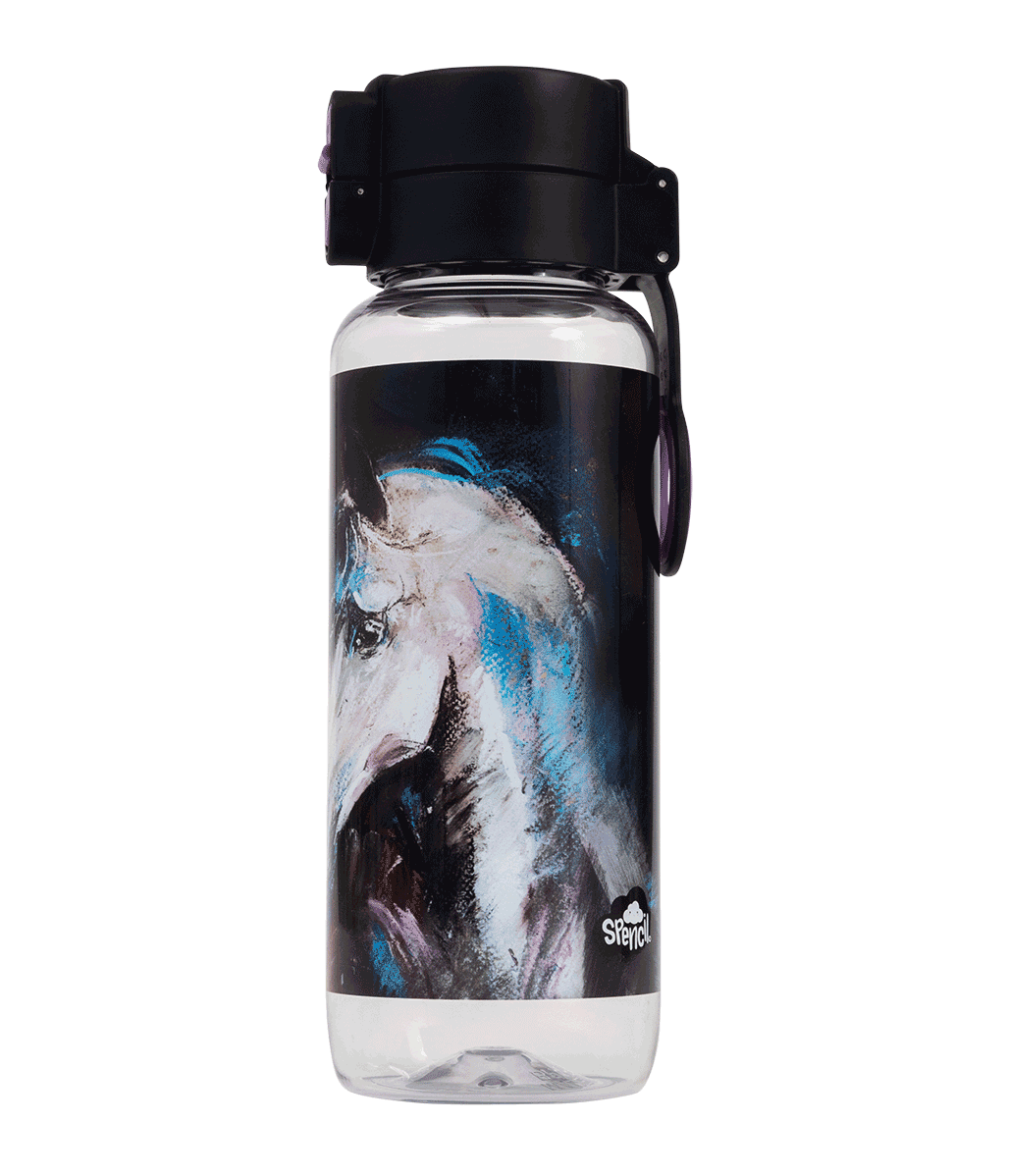 Big Water Bottle - 650ml - Mystic