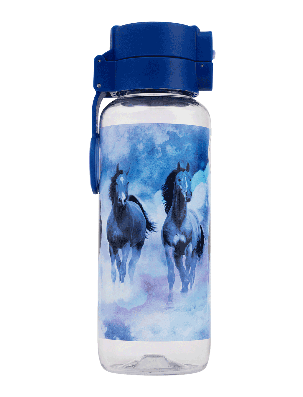 Big Water Bottle - 650ml - Sky Dancer