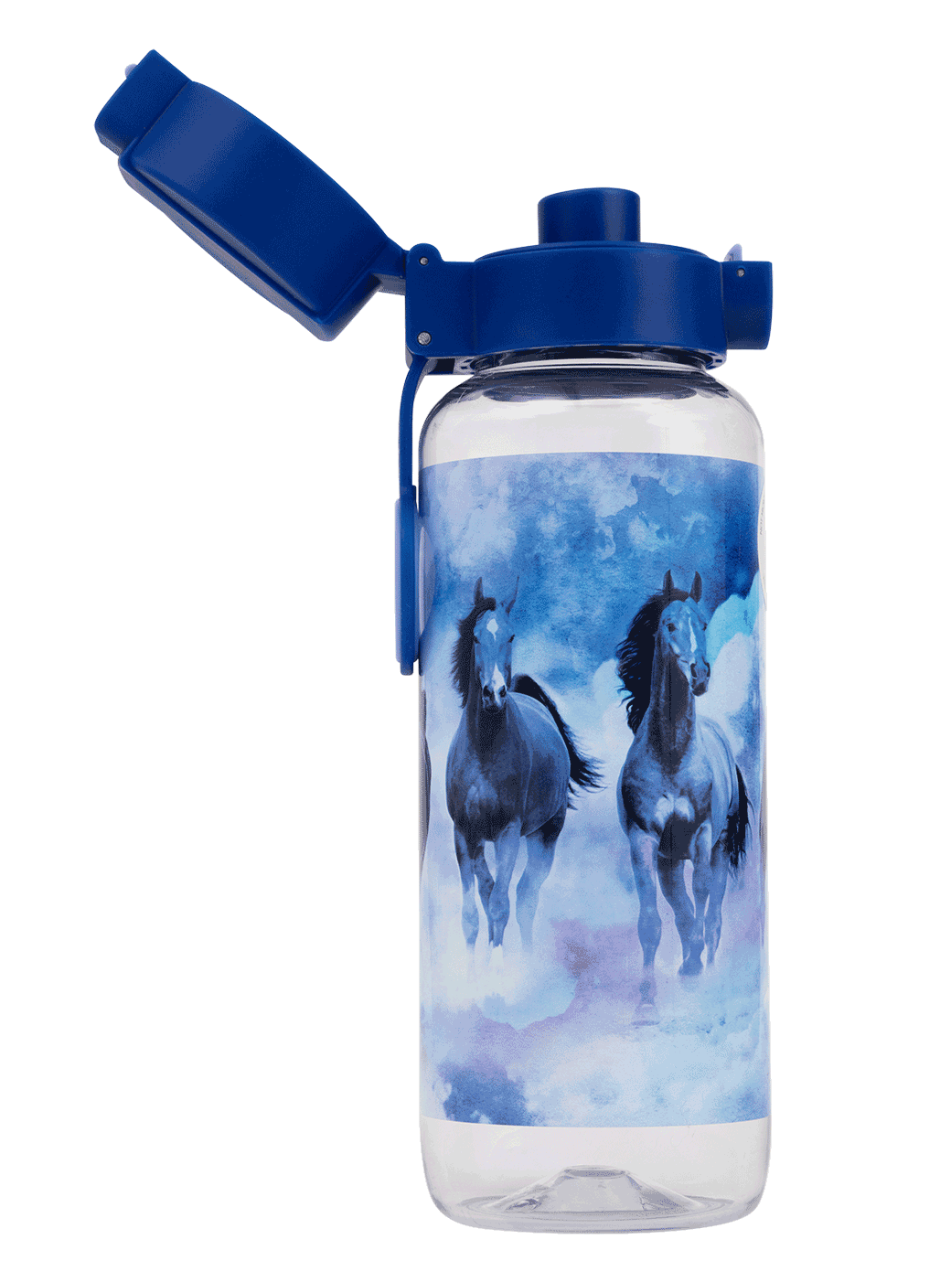 Big Water Bottle - 650ml - Sky Dancer