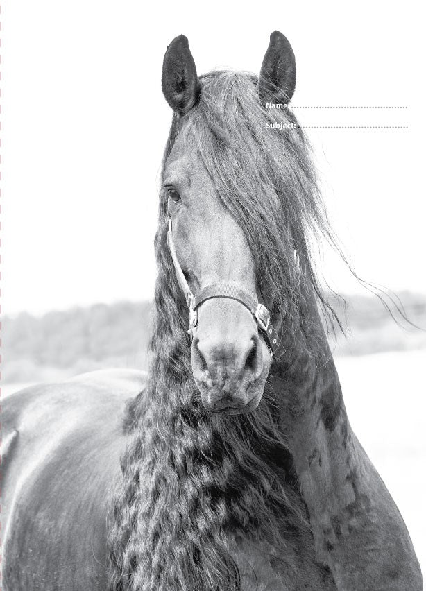 Scrapbook Cover - Black & White Horses II